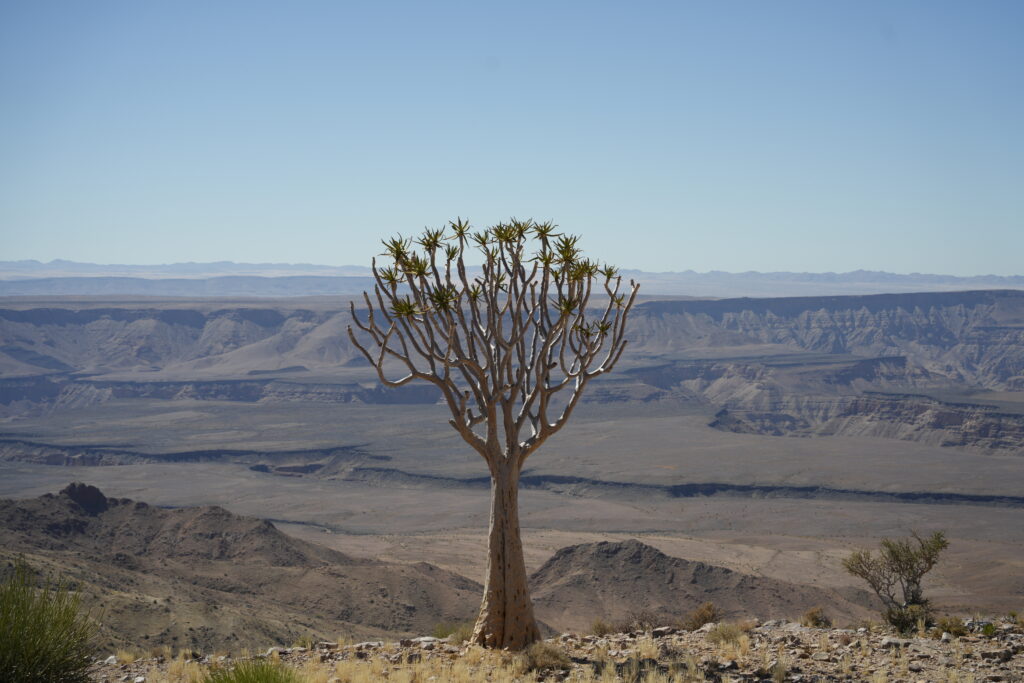 Fish River Rim