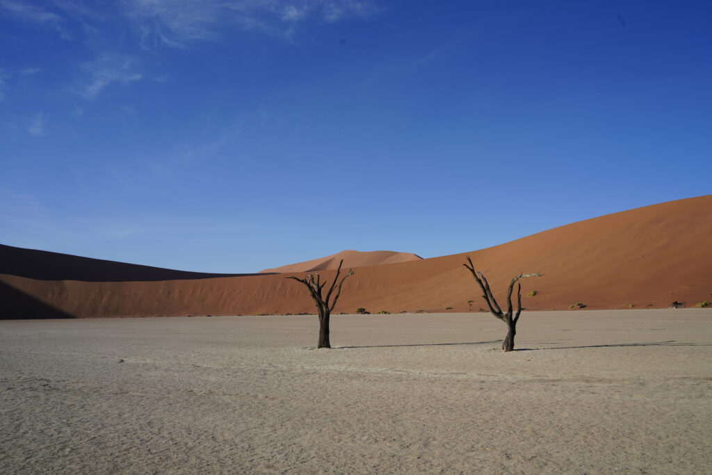 Deadvlei